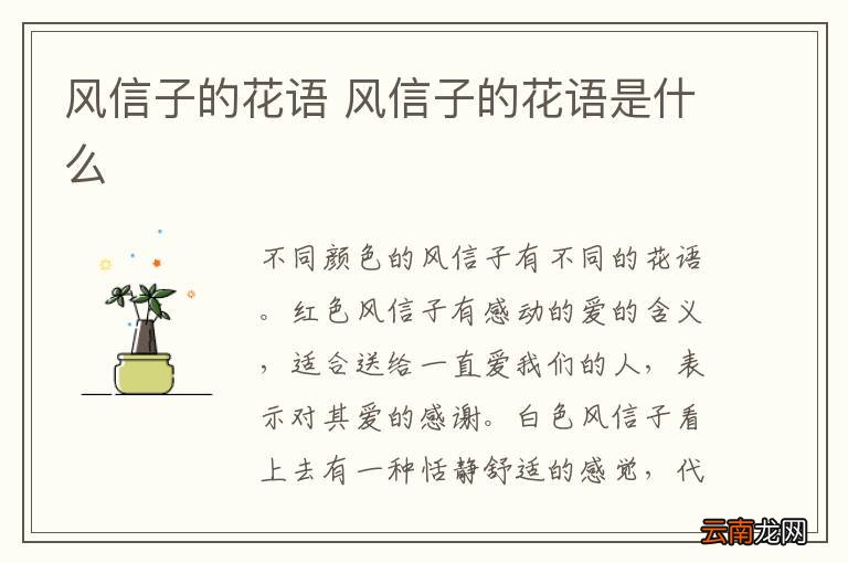 风信子的花语 风信子的花语是什么