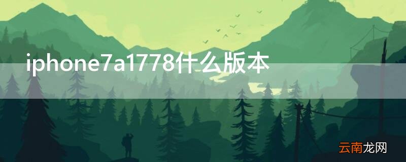 iPhone7a1778什么版本 iphone7a1778什么版本可以插什么卡