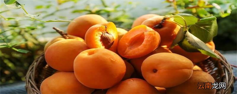 杏月是几月 杏月指的是几月