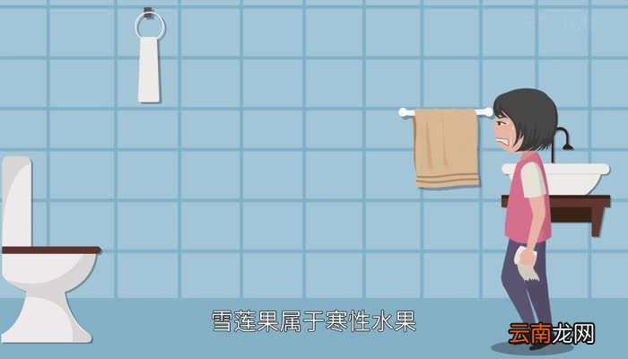 吃雪莲果的禁忌 雪莲果的属性