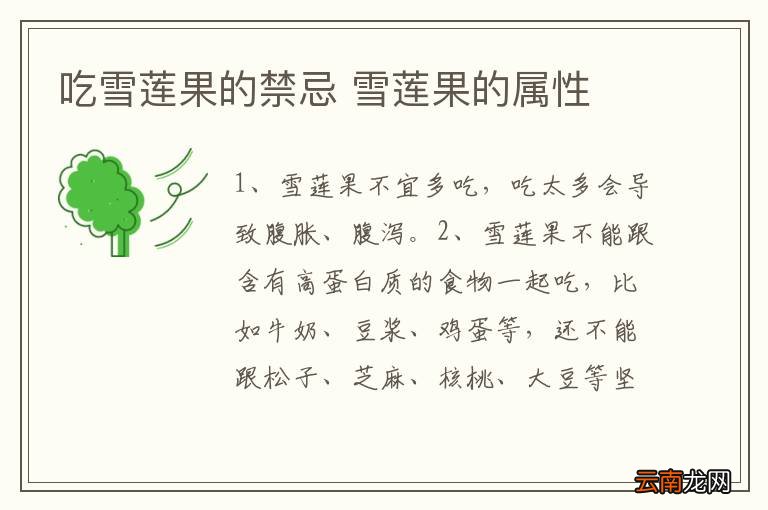 吃雪莲果的禁忌 雪莲果的属性