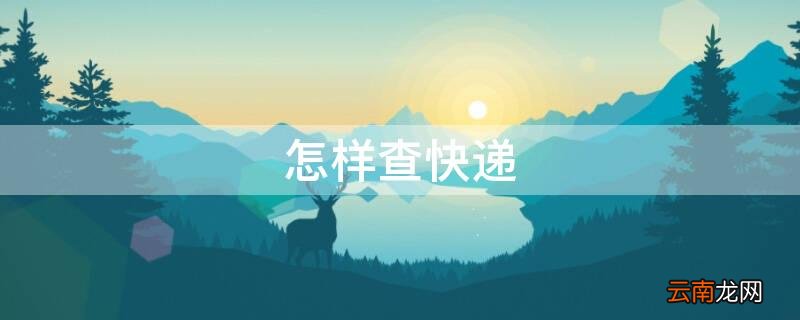 怎样查快递到哪里了怎么查 怎样查快递