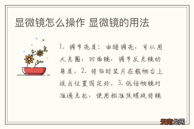 显微镜怎么操作 显微镜的用法