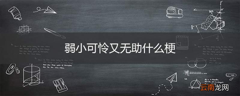 弱小可怜又无助什么梗