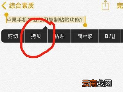 苹果手机怎么粘贴