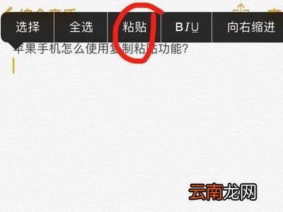 苹果手机怎么粘贴