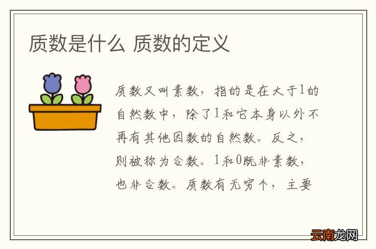 质数是什么 质数的定义