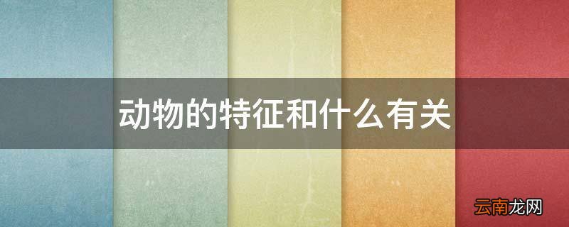 动物的特征和什么有关