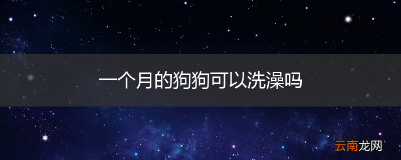 一个月的狗狗可以洗澡吗