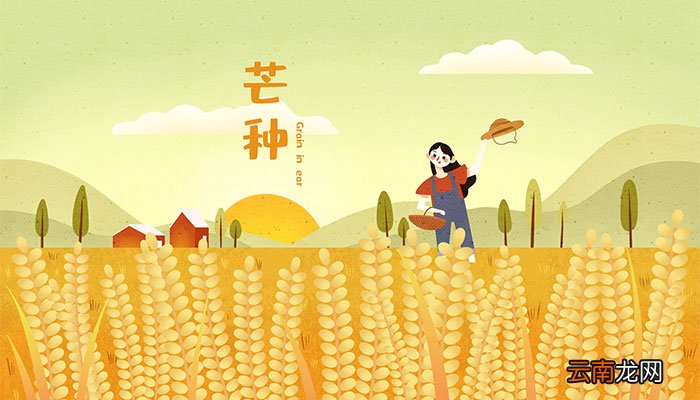 芒种有哪些传统风俗 芒种的传统风俗有哪些