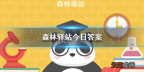 大象一生换多少次牙板 大象一生会换几次板牙