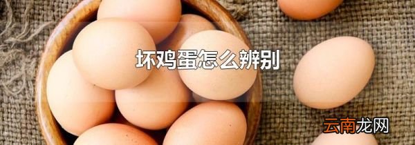 坏鸡蛋怎么辨别