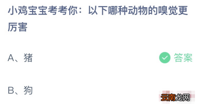 以下哪种动物的嗅觉更厉害 哪种动物嗅觉最差