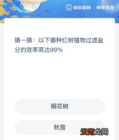 以下哪种红树植物过滤盐分的效率高达99%?神奇海洋11月9日答案