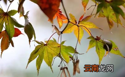 2022立冬以后白天是越来越长还是越来越短