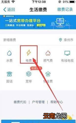 如何网上交电费