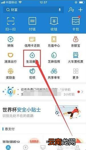 如何网上交电费