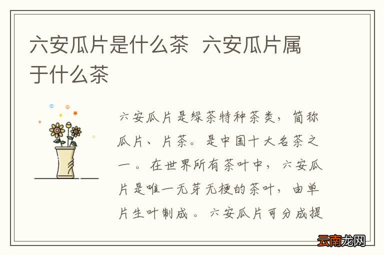 六安瓜片是什么茶六安瓜片属于什么茶