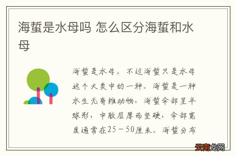 海蜇是水母吗 怎么区分海蜇和水母