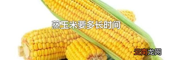 蒸玉米要多长时间