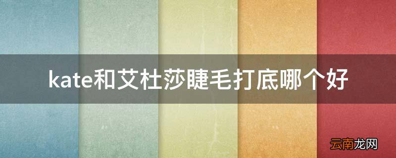 kate和艾杜莎睫毛打底哪个好
