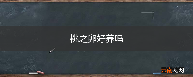 桃之卵好养吗