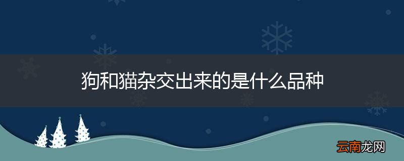 狗和猫杂交出来的是什么品种