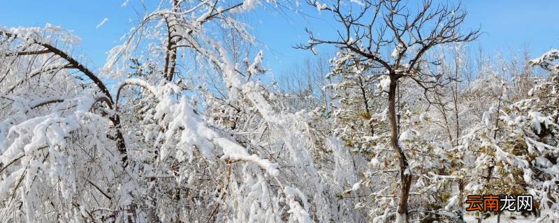 立春后下雪吗