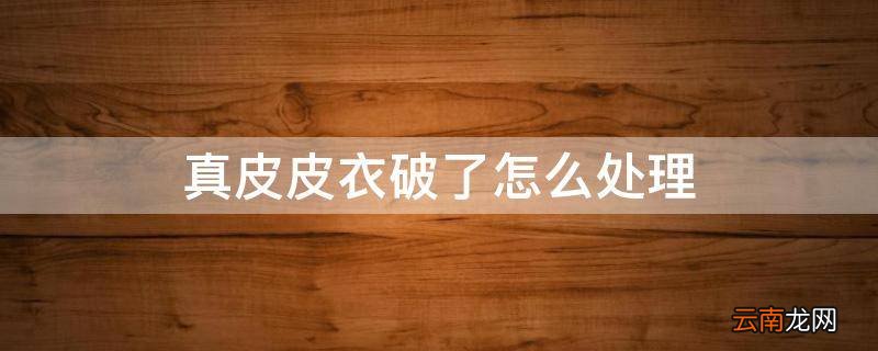 真皮皮衣破了怎么处理