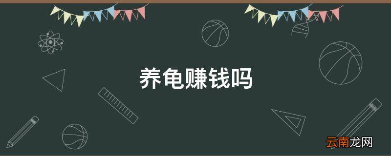 养龟赚钱吗