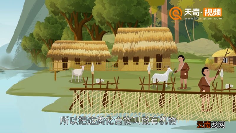 有机物和无机物的区别