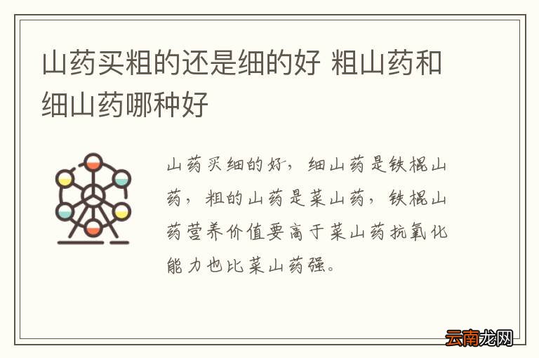 山药买粗的还是细的好 粗山药和细山药哪种好