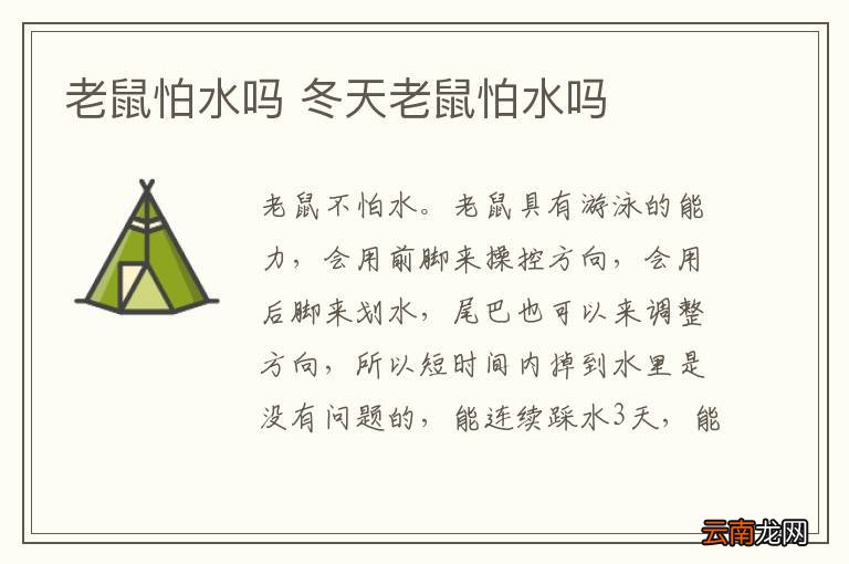 老鼠怕水吗 冬天老鼠怕水吗
