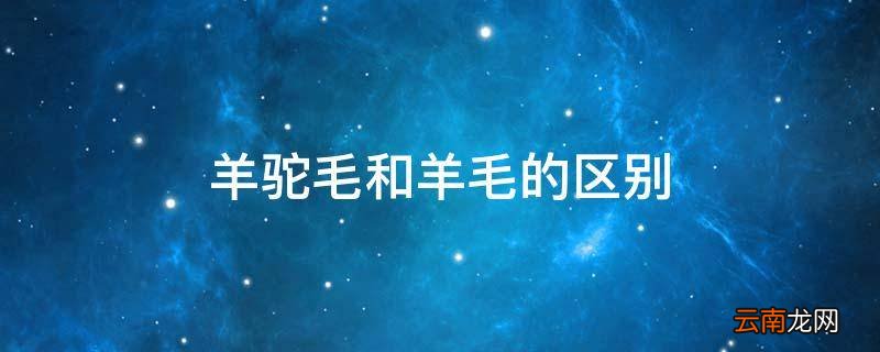 羊驼毛和羊毛的区别