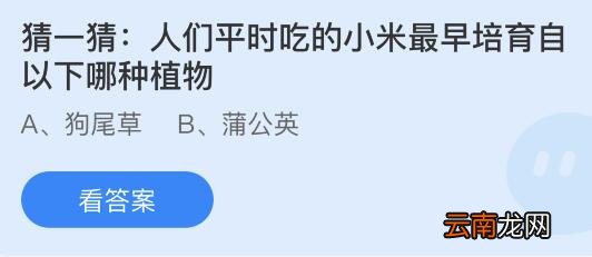 蚂蚁庄园11月16日答案最新：小米最早培育自以下哪种植物？人在紧张时手心为什么容易出汗？