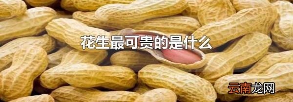 花生最可贵的是什么