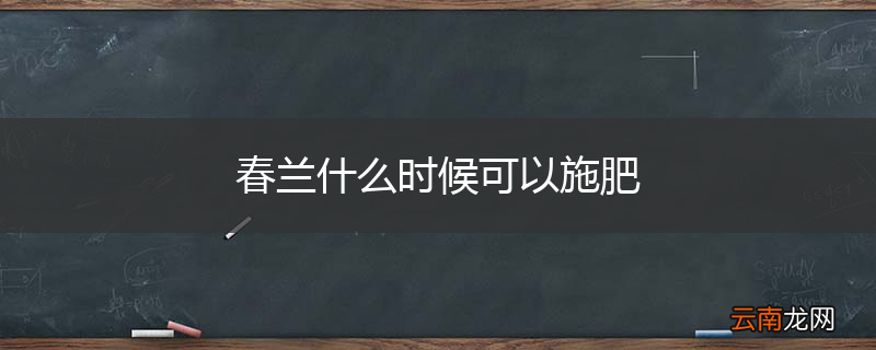 春兰什么时候可以施肥