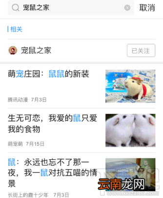 腾讯新闻怎么搜索公众号?