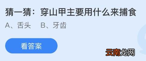 蚂蚁庄园11月17日答案最新：穿山甲主要用什么来捕食？有活化石之称的野生动物是？