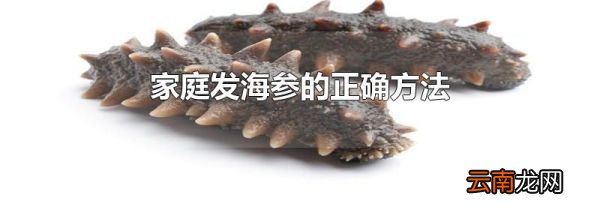 家庭发海参的正确方法