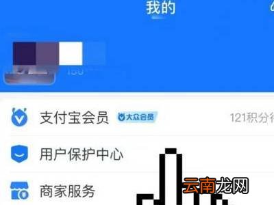 支付宝积分延期卡在哪里