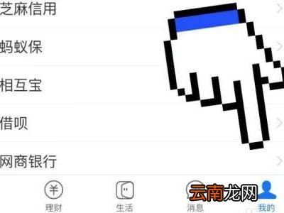 支付宝积分延期卡在哪里