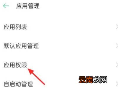 找回拼多多桌面图标