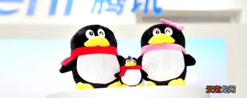 qqlive是什么文件夹 QQlive文件夹