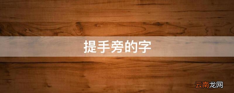 提手旁的字 提手旁的字有什么一年级