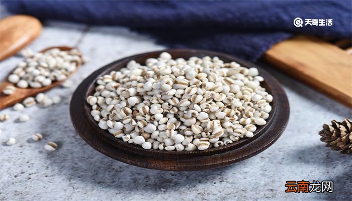谷雨种薏仁米吗 谷雨可以种薏仁米吗