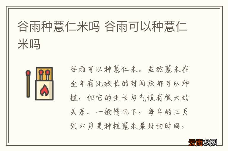 谷雨种薏仁米吗 谷雨可以种薏仁米吗