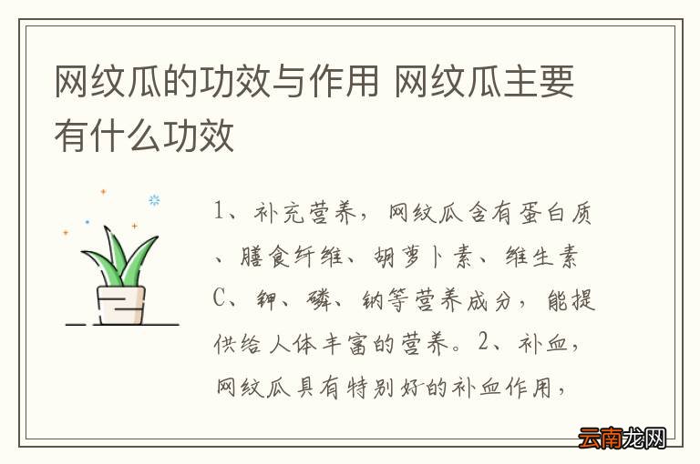 网纹瓜的功效与作用 网纹瓜主要有什么功效