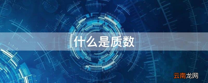 什么是质数 什么是质数定义是什么
