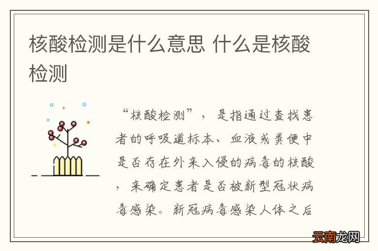 核酸检测是什么意思 什么是核酸检测
